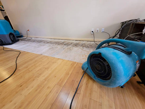 Professional Water Removal technician working in Osgood, IN